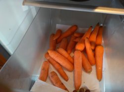 carrots.jpg