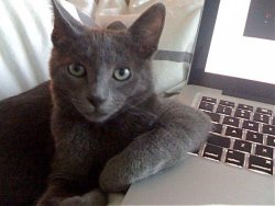 BiritchKeyboard.jpg