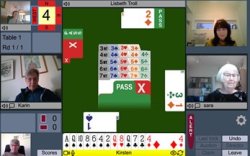 RealBridge example.jpg