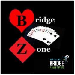 Bridge Zone Logo.jpg.png