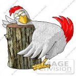chick on the block.jpg