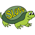 tortoise.png